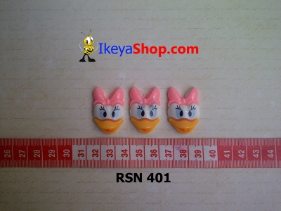 rsn 401  large2